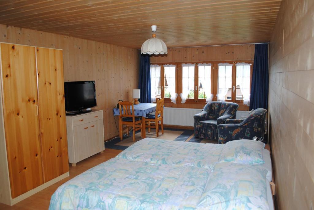 Studio Glaus Apartment Wilderswil Room photo