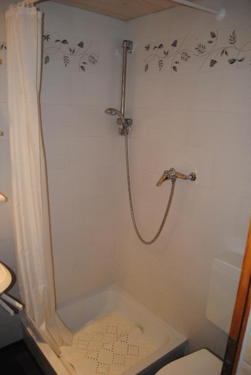 Studio Glaus Apartment Wilderswil Room photo